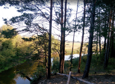 Рибалка на річці Тетерів