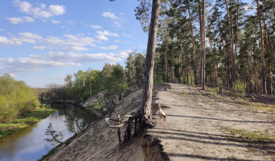 Рибалка на річці Тетерів