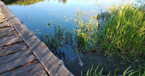 Рибалка в Ромашківці Волинської області