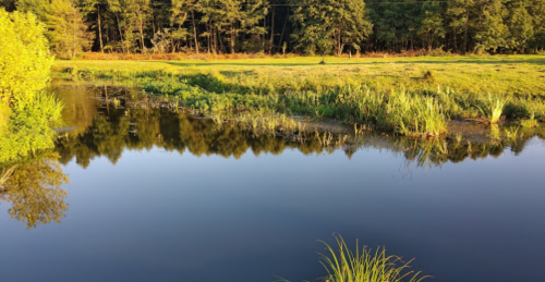 Рибалка в Ромашківці Волинської області