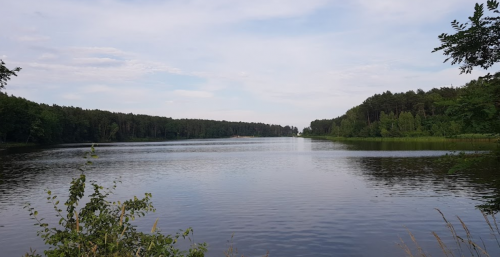 Рибалка в Ромашківці Волинської області