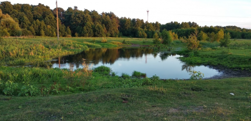 Рибалка в Ромашківці Волинської області