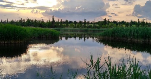 Риболовля в селі Більманка Запорізької області