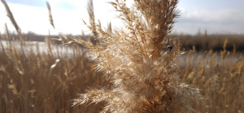 Риболовля та відпочинок в селі Садове Запорізької області