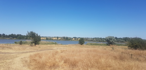 Риболовля та відпочинок в селі Замостя Запорізької області