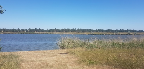 Риболовля та відпочинок в селі Замостя Запорізької області