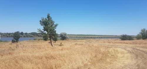 Риболовля та відпочинок в селі Замостя Запорізької області