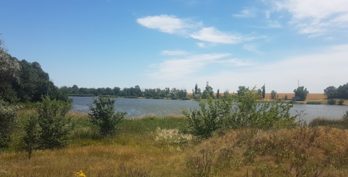 Риболовля та відпочинок в селі Замостя Запорізької області