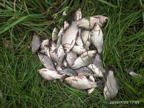 Рибалка у селі Клітня Житомирської області