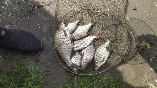 Рибалка у селі Клітня Житомирської області