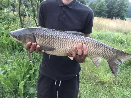 Рибалка у селі Клітня Житомирської області