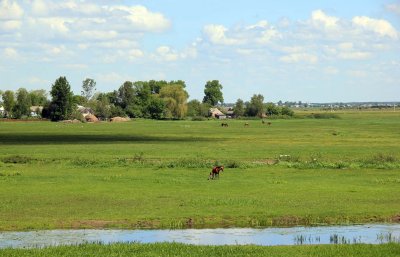 Рибалка у селі Тростянець Волинської області