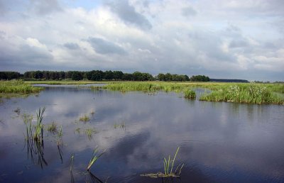 Рибалка у селі Тростянець Волинської області