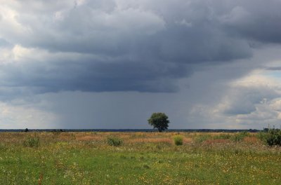 Рибалка у селі Тростянець Волинської області