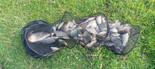 Рибалка у селі Велика Деражня, Житомирської області