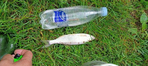 Рибалка у селі Велика Деражня, Житомирської області