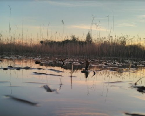 Рибалка у Ворончині Волинської області