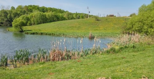 Рибалка у Зарванцях Вінницької області