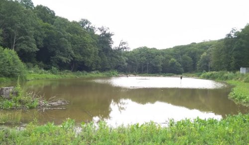 Рибалка у Зарванцях Вінницької області