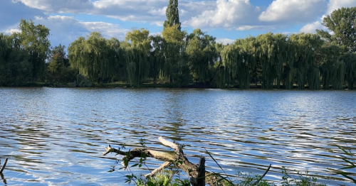 Рибалка біля Бердичева у Житомирській області