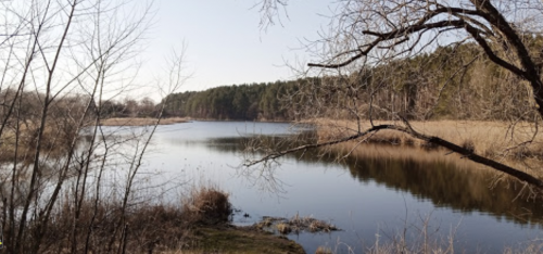Риболовля та відпочинок на Швиридовському ставку