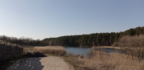 Риболовля та відпочинок на Швиридовському ставку