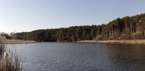 Риболовля та відпочинок на Швиридовському ставку