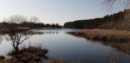 Риболовля та відпочинок на Швиридовському ставку