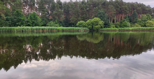 Риболовля та відпочинок на Швиридовському ставку