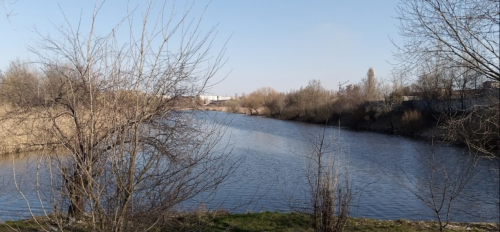 Риболовля та відпочинок на Швиридовському ставку