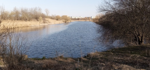 Риболовля та відпочинок на Швиридовському ставку