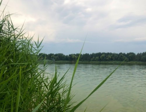 Водойма Чебені у Волинській області