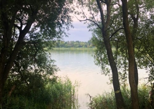 Водойма Чебені у Волинській області