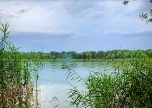 Водойма Чебені у Волинській області