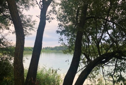 Водойма Чебені у Волинській області