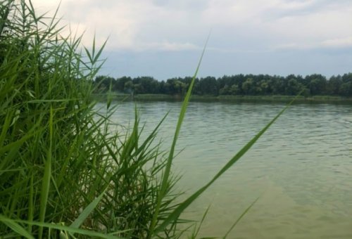 Водойма Чебені у Волинській області