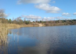 Водойма Чебені у Волинській області