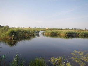 Частное озеро в Гамалиевке Львовской области