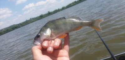 Рибалка на озері Екстим 