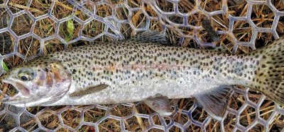 Рибалка на озері Екстим 