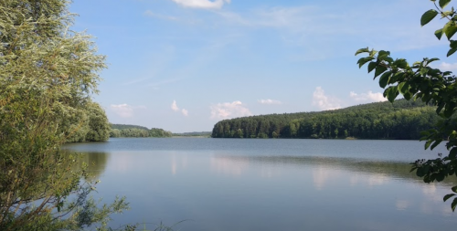 Фермерське господарство Хутір «Мельники»