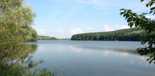 Фермерське господарство Хутір «Мельники»