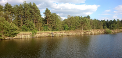 Рыбалка на базе отдыха «Пристань»