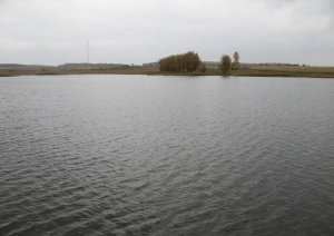 Озеро в Якимове Львовской области