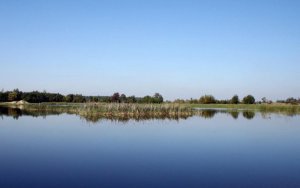 Озеро в Бабичах Львовской области