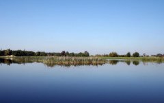 Озеро в Бабичах Львовской области