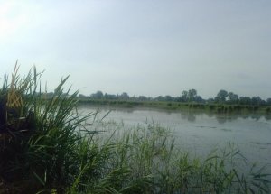 Озеро в Батятичах Львовской области