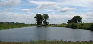 Озеро в Борщовичах Львовской области