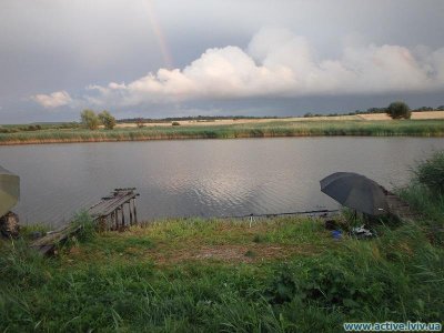 Озеро Куровичі у Львівській області