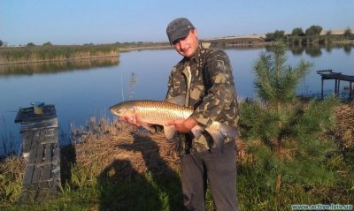 Озеро Куровичі у Львівській області